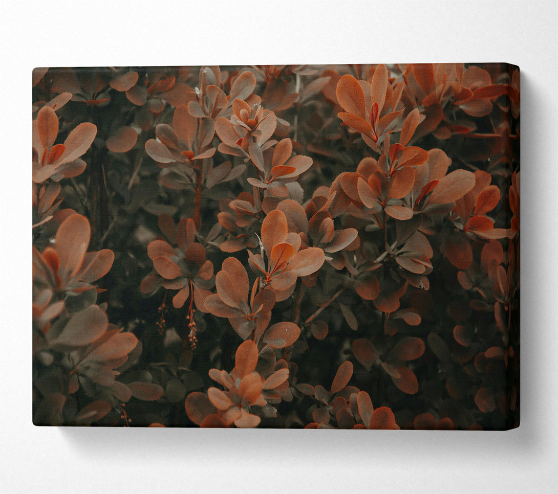  A Canvas Print of Copper Leaf Whisper Canvas Art