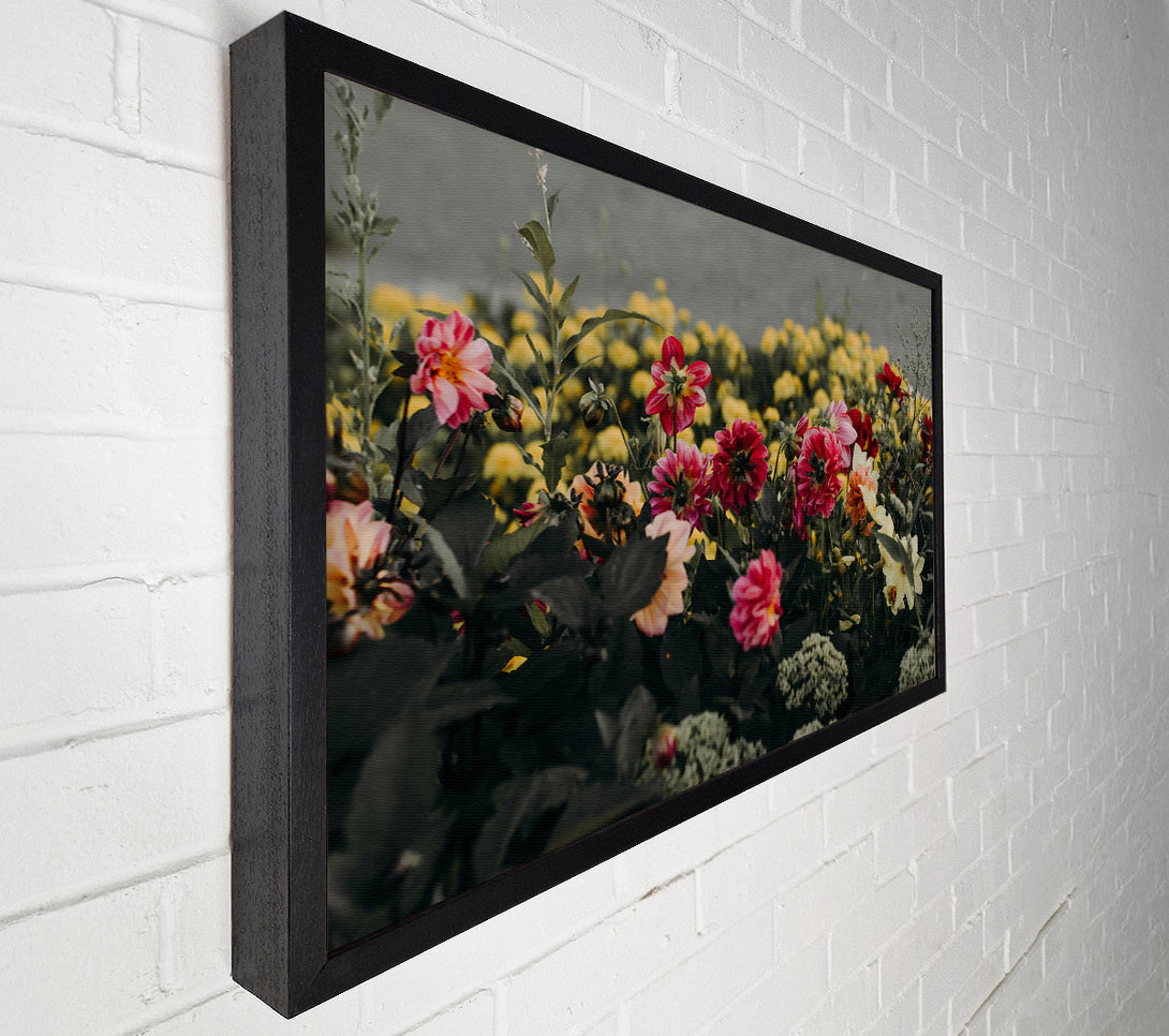  A Canvas Print of Crimson Bloom Burst Canvas Art