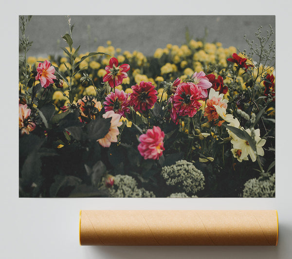 Crimson Bloom Burst Giclee Print