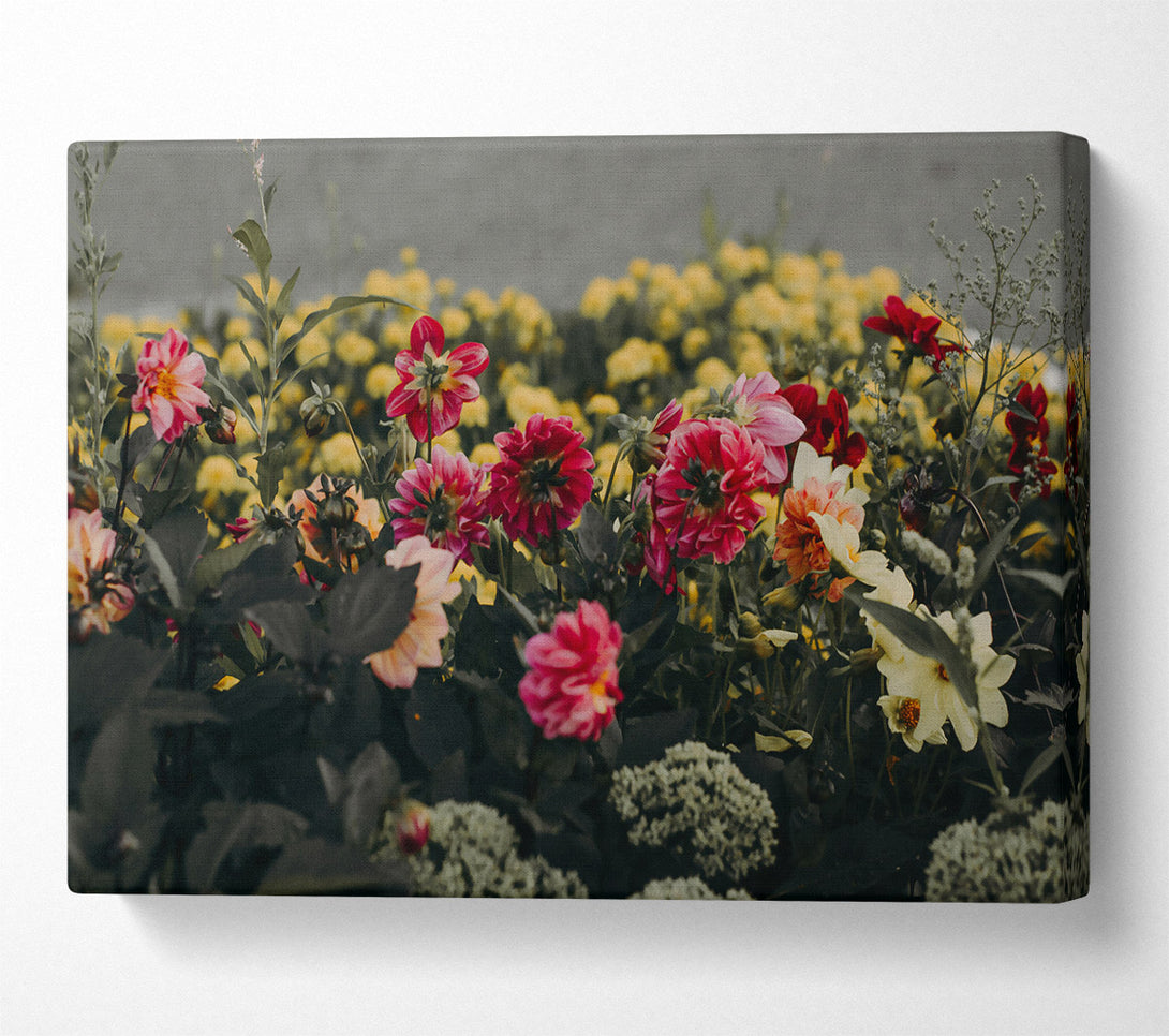  A Canvas Print of Crimson Bloom Burst Canvas Art