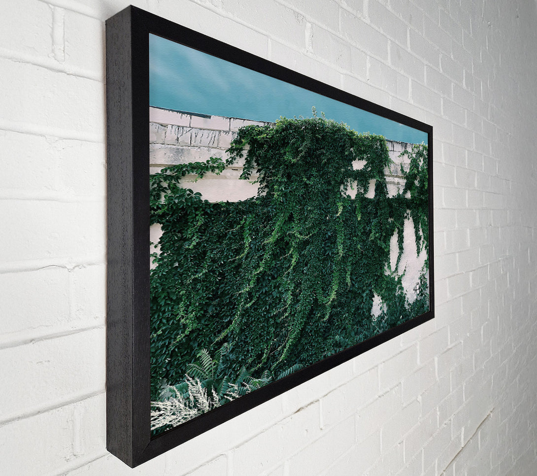  A Canvas Print of Emerald Wall Embrace Canvas Print
