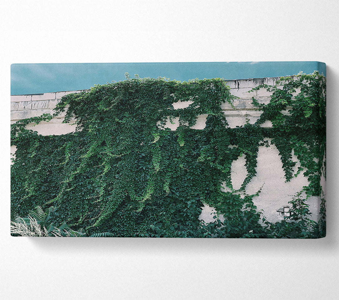  A Canvas Print of Emerald Wall Embrace Canvas Print