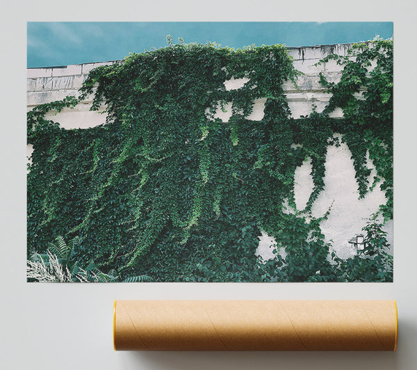 Emerald Wall Embrace Poster