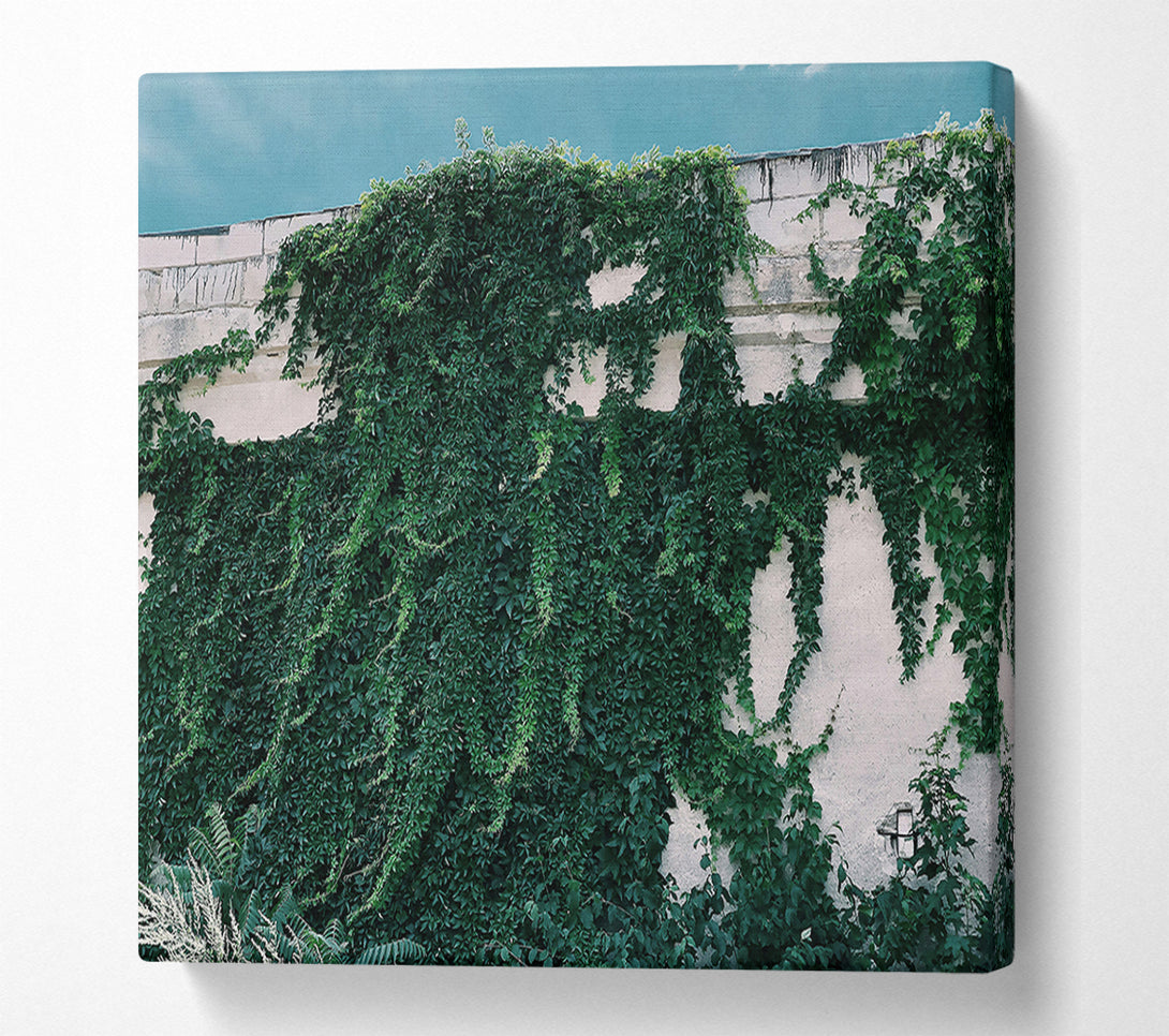  A Canvas Print of Emerald Wall Embrace Canvas Print