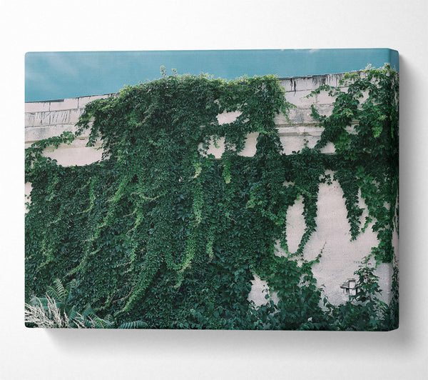 A Canvas Print of Emerald Wall Embrace Canvas Print