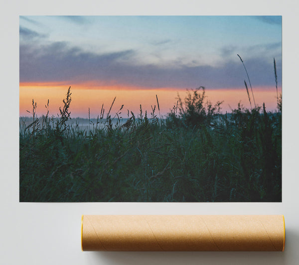 Golden Hour Grassland Giclee Print