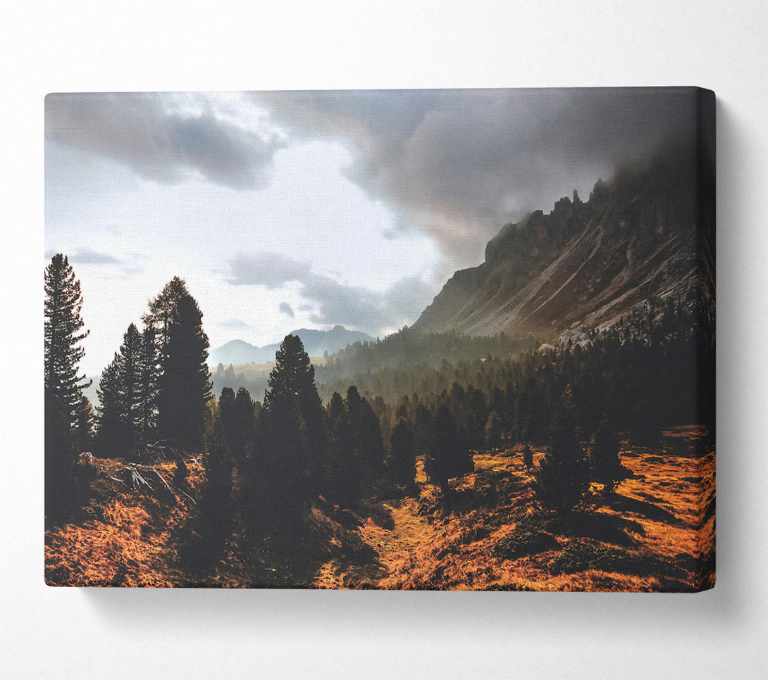  A Canvas Print of Golden Mountain Mist Canvas Print