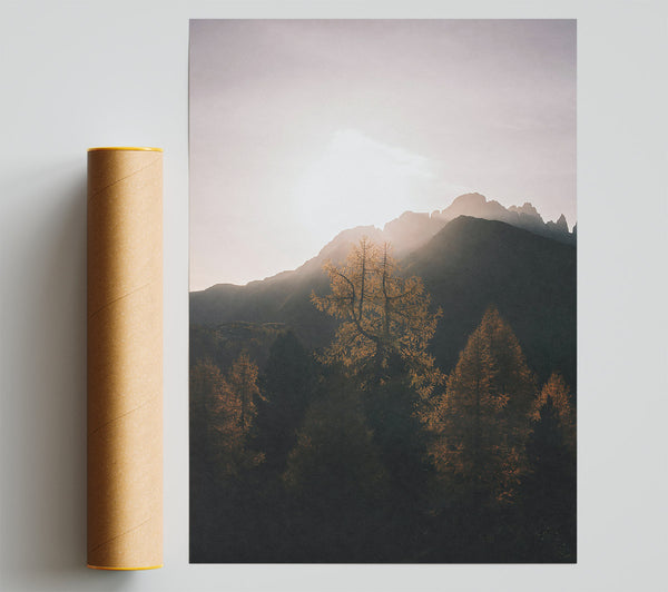 Golden Silhouettes In Mist Poster