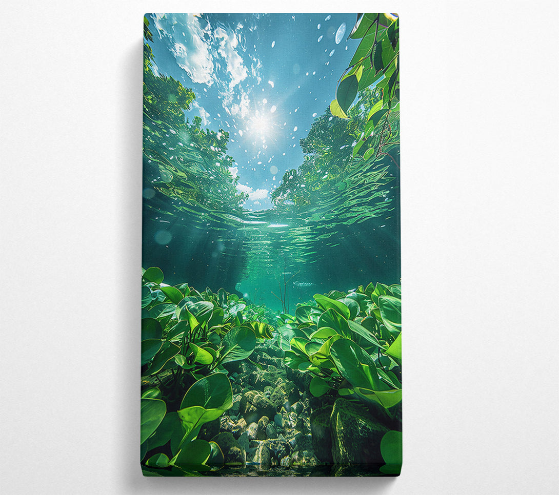  A Canvas Print of Emerald Underwater Sun Canvas Art