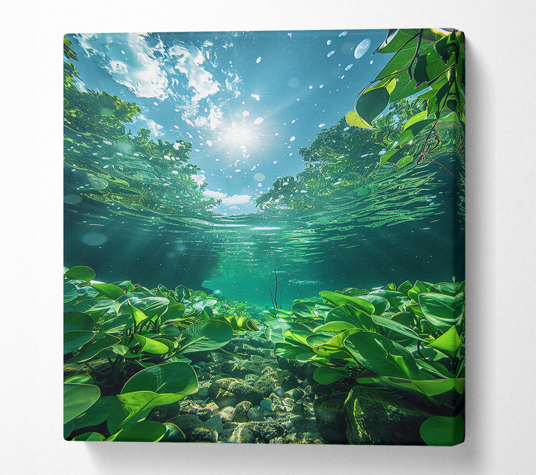  A Canvas Print of Emerald Underwater Sun Canvas Art