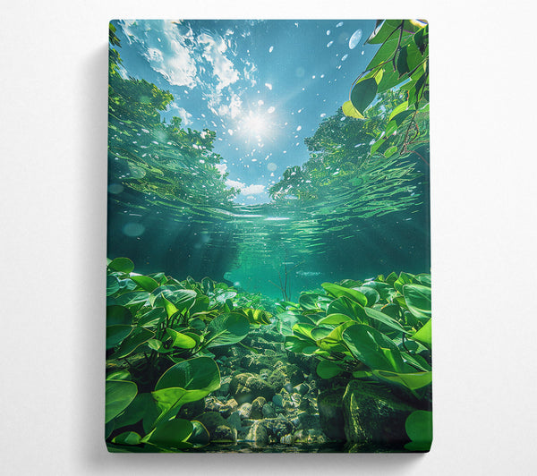  A Canvas Print of Emerald Underwater Sun Canvas Art