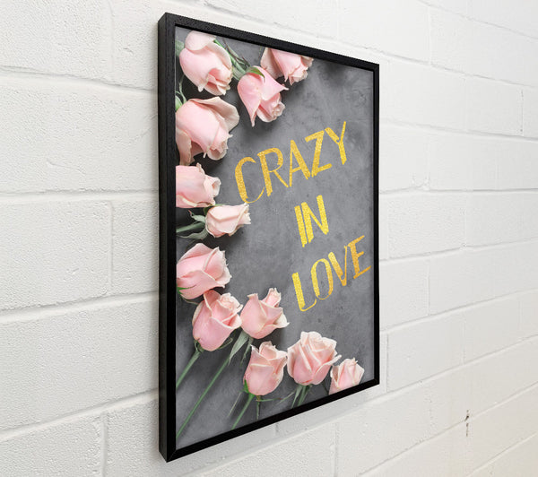 Crazy In Love  Pink Roses