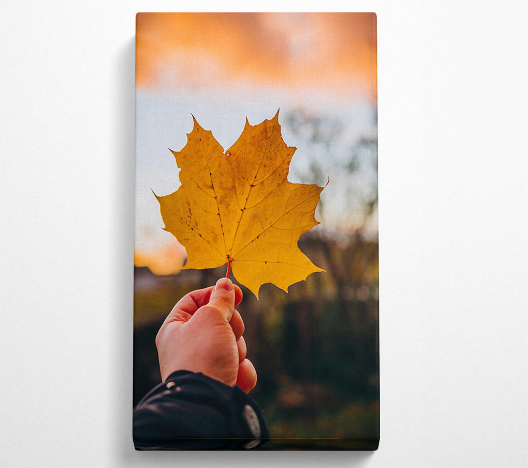  A Canvas Print of Golden Leaf Sunset Canvas Print