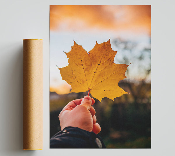 Golden Leaf Sunset Poster