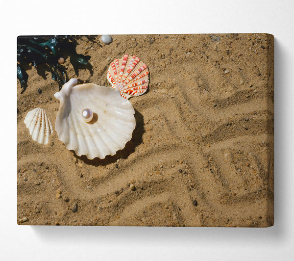  A Canvas Print of Sandy Pearl Treasure Canvas Wall Art