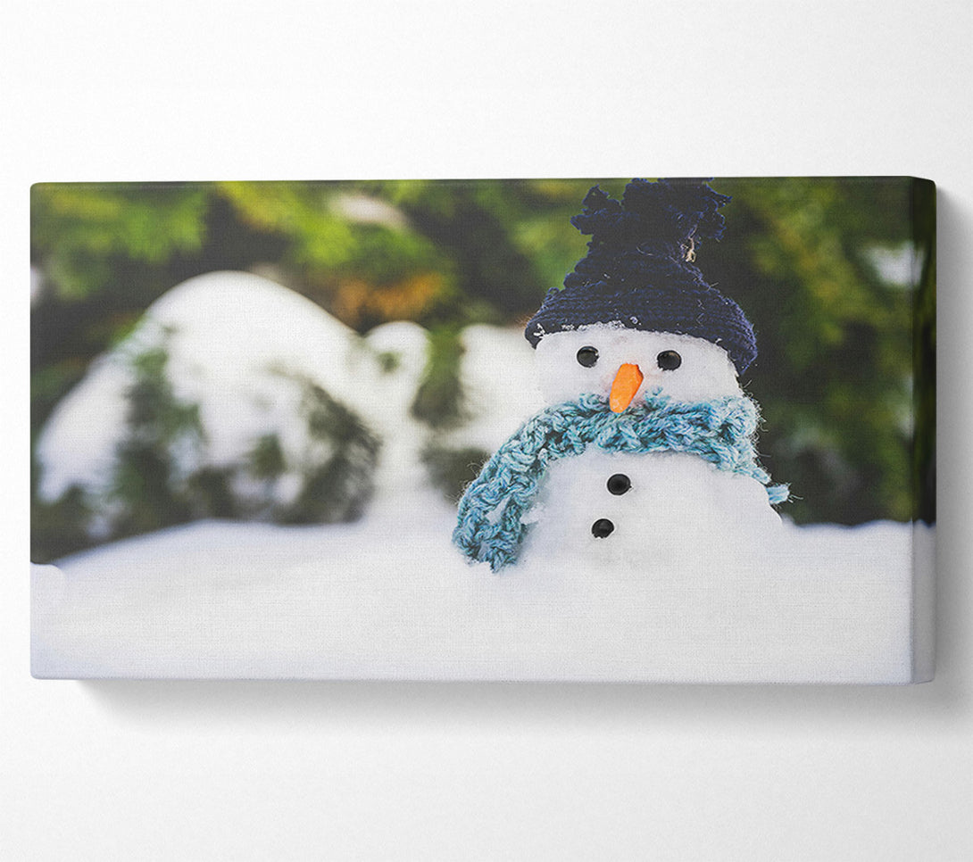 A Canvas Print of Blue Hatted Snowman Canvas Print