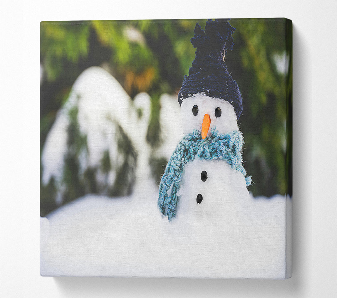  A Canvas Print of Blue Hatted Snowman Canvas Print