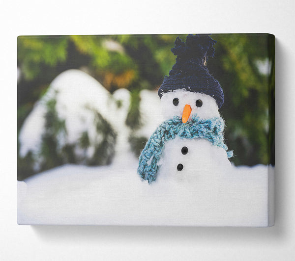  A Canvas Print of Blue Hatted Snowman Canvas Print