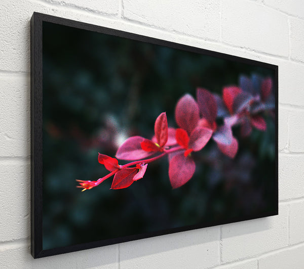 Crimson Branch Bloom