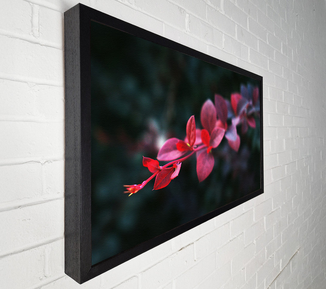  A Canvas Print of Crimson Branch Bloom Canvas Print