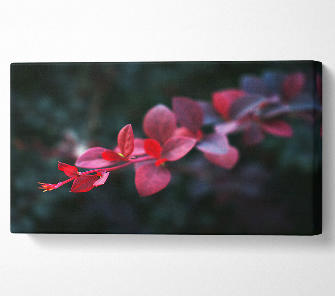  A Canvas Print of Crimson Branch Bloom Canvas Print