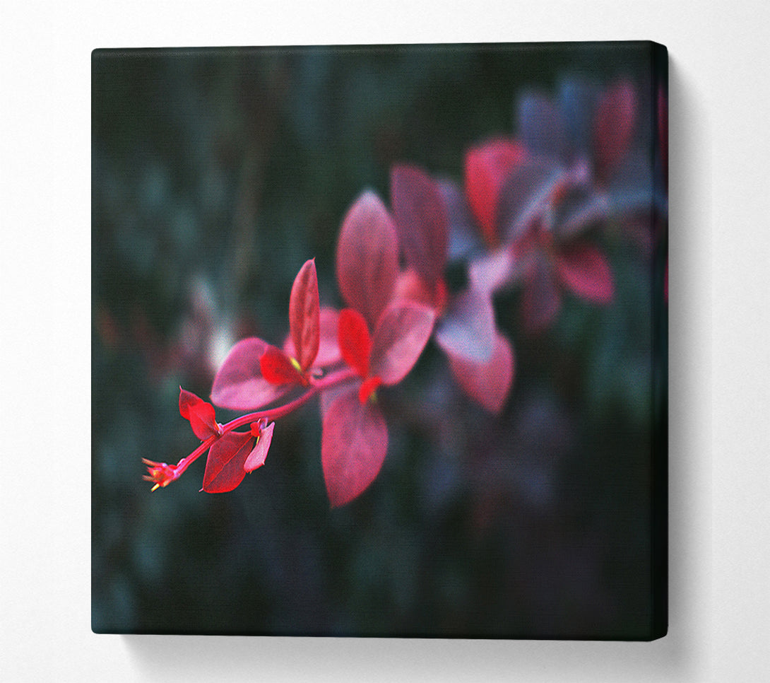 A Canvas Print of Crimson Branch Bloom Canvas Print
