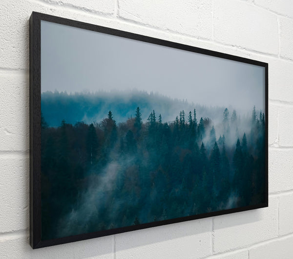 Teal Forest Mist