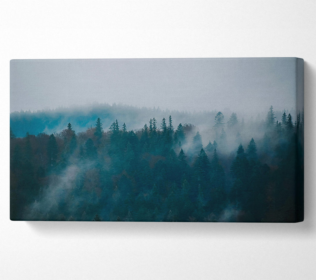  A Canvas Print of Teal Forest Mist Canvas Print