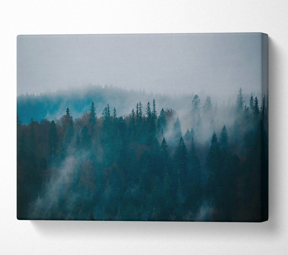  A Canvas Print of Teal Forest Mist Canvas Print