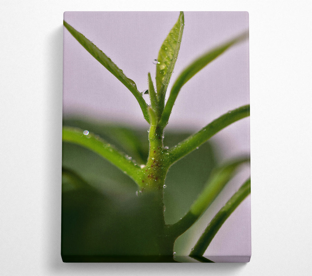  A Canvas Print of Emerald Dew Drops Canvas Wall Art