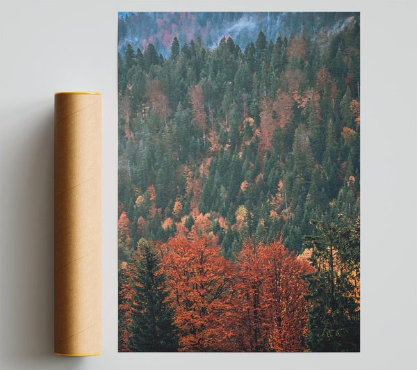 Crimson Forest Fog Giclee Print