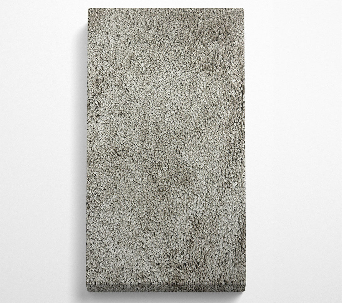  A Canvas Print of Silver Shaggy Texture Canvas Print