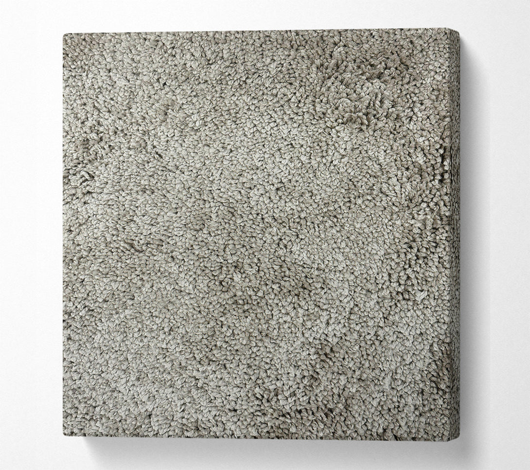  A Canvas Print of Silver Shaggy Texture Canvas Print