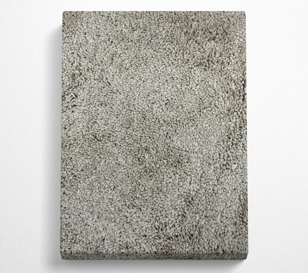  A Canvas Print of Silver Shaggy Texture Canvas Print
