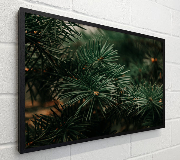 Emerald Pine Needles