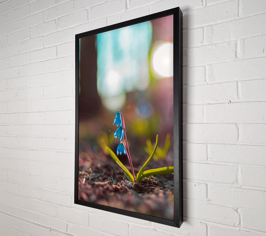  A Canvas Print of Azure Spring Bloom Canvas Wall Art