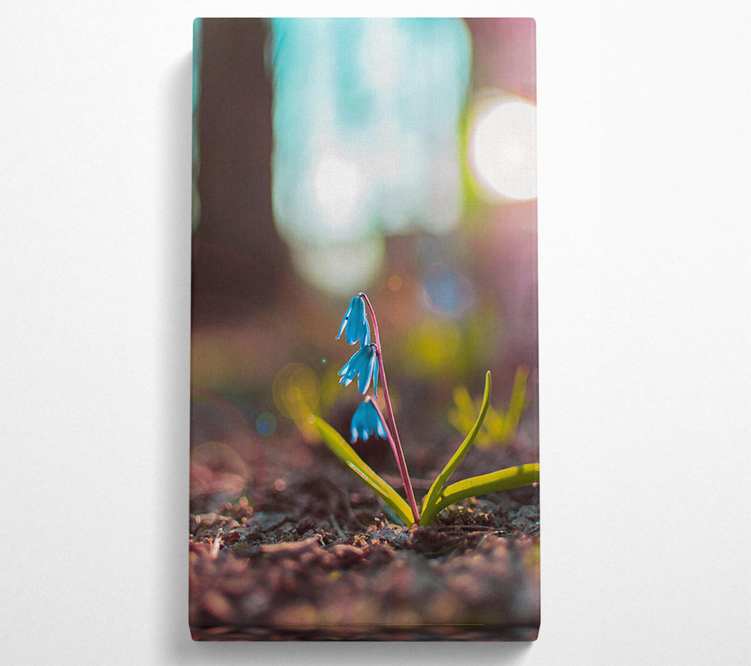  A Canvas Print of Azure Spring Bloom Canvas Wall Art