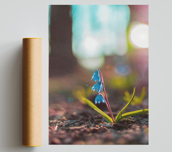 Azure Spring Bloom Print