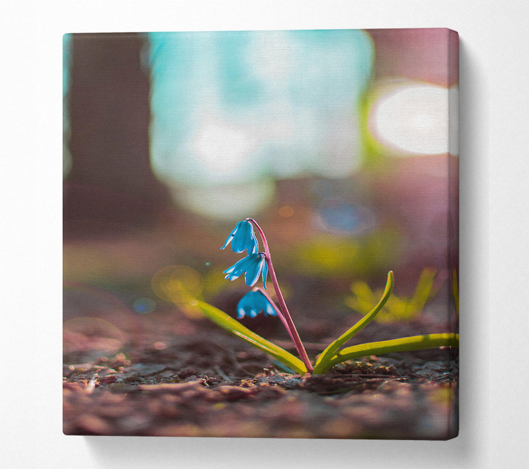 A Canvas Print of Azure Spring Bloom Canvas Wall Art