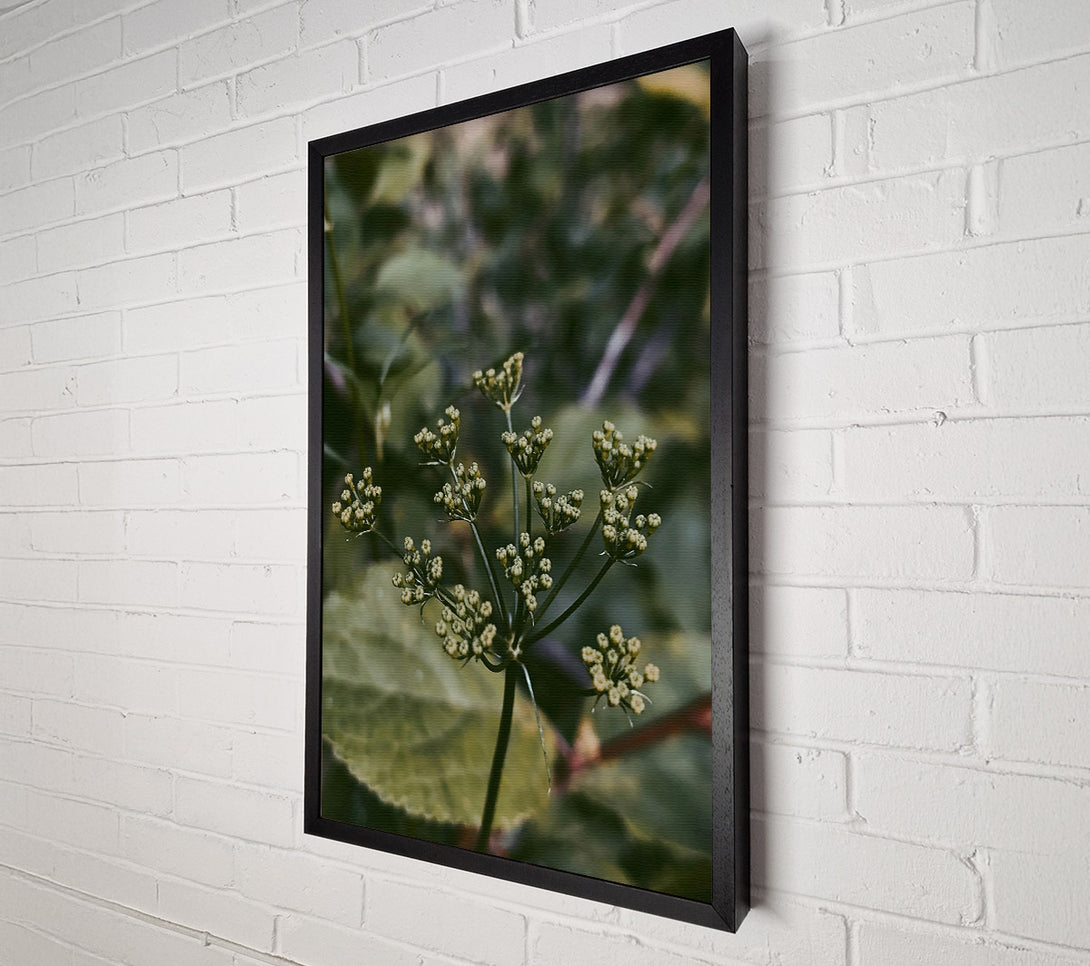  A Canvas Print of Green Budding Bloom Canvas Art