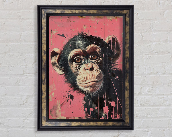 Cute Chimp Framed Print