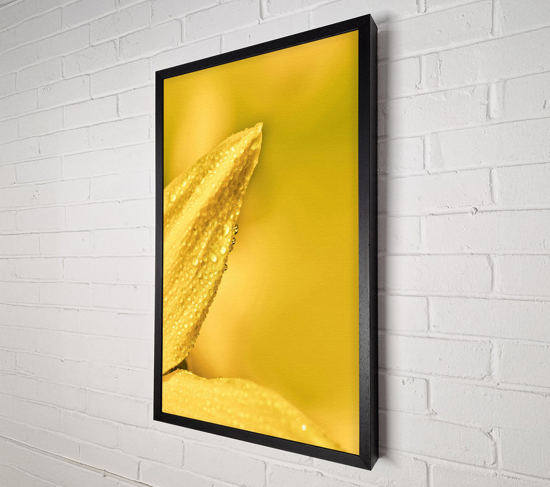  A Canvas Print of Golden Dewdrop Petal Canvas Art