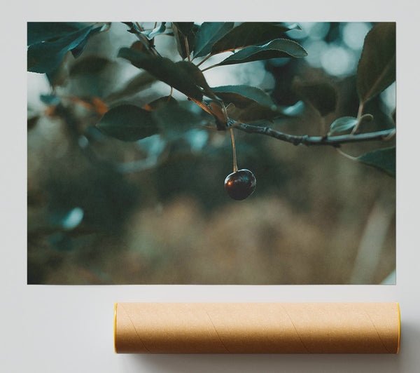 Teal Cherry Branch Poster