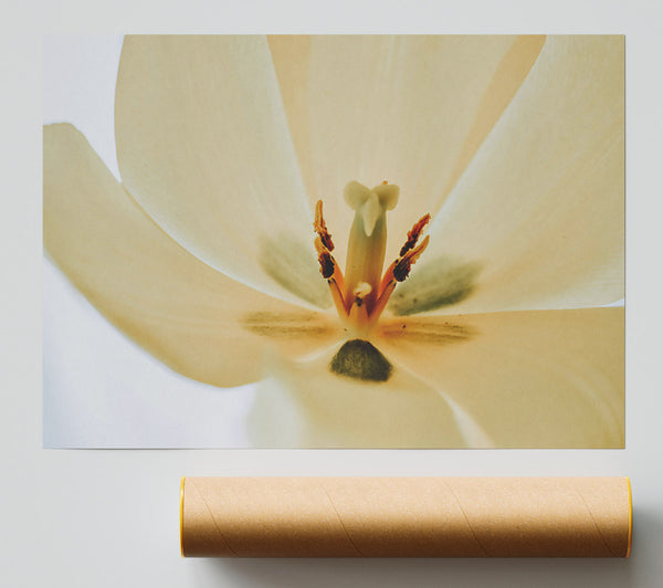 Ivory Petal Embrace Print