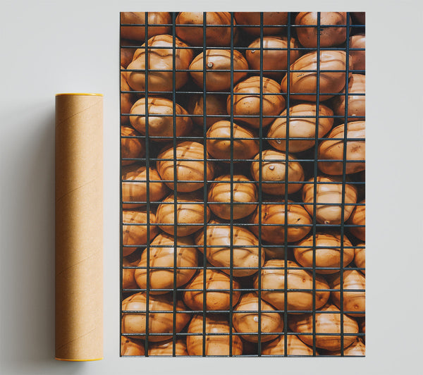 Golden Cage Of Plenty Giclee Print