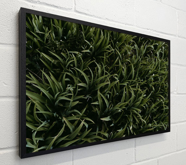 Emerald Green Blades