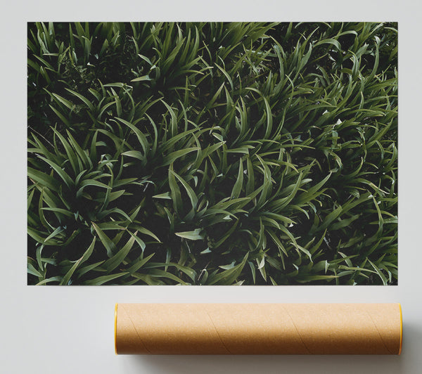 Emerald Green Blades Giclee Print