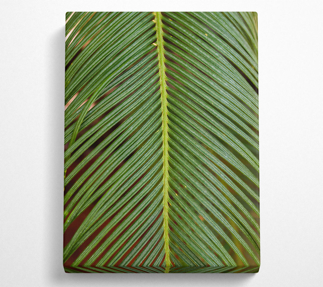  A Canvas Print of Emerald Leaf Veins Canvas Print