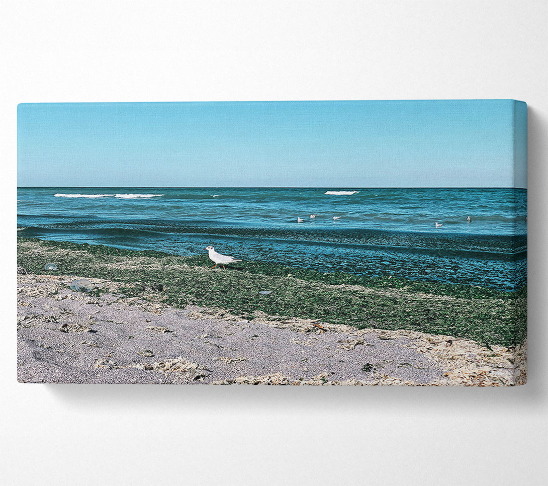  A Canvas Print of Teal Shore Serenity Canvas Wall Art