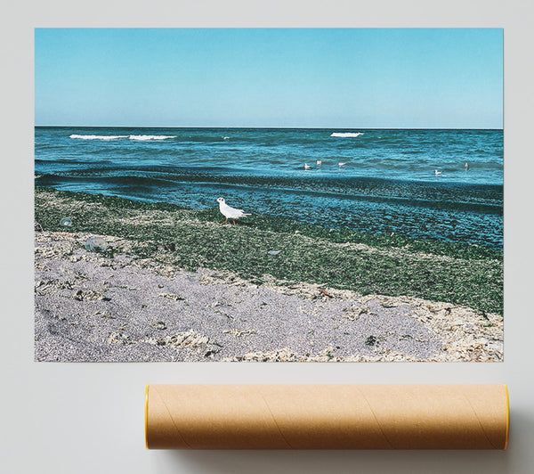 Teal Shore Serenity Print